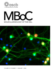 mboc.2024.35.issue-1.cover